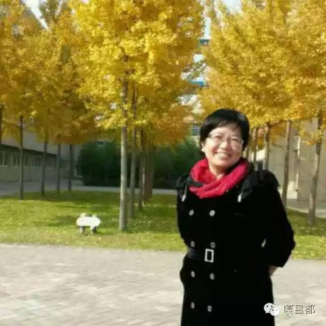 这是我见过最美的风景古文翻译,这是我见过最美的画面作文