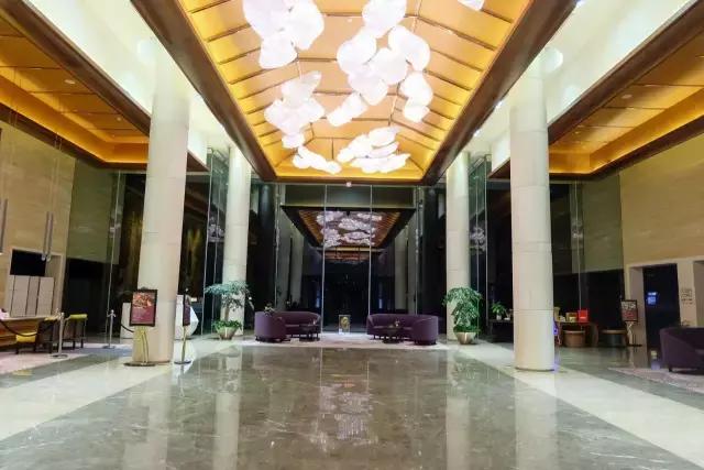 初夏阳光下太平湖沐心酒店风景,太平湖旅游攻略酒店