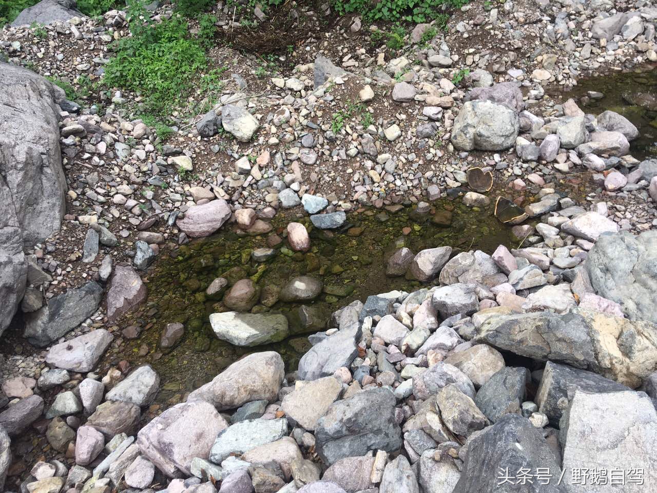 野鹅自驾:一个小泉眼,却养活了整个村子,冒出的气泡酷似珍珠!