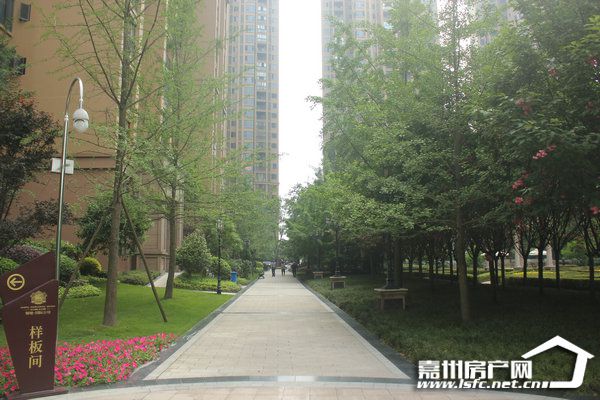 又是一年青春毕业季,又是一年毕业季租房