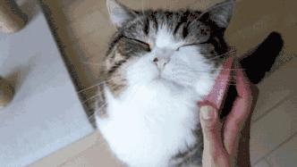 怕变老很焦虑,怕变老害怕失去爱