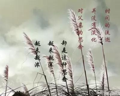 心情随笔经典抒情散文,心情随笔素材