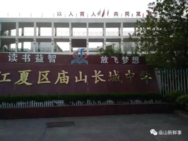 江夏庙山有几所小学,江夏庙山新建小学
