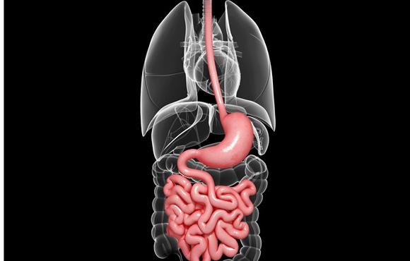 食道癌的早期症状做胃镜能诊断吗,食道癌早期的8个症状吃什么草药