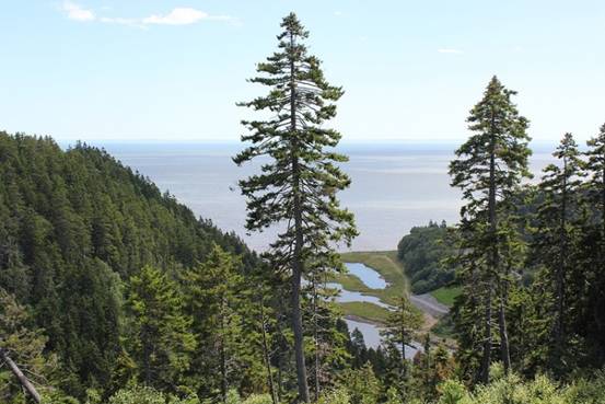 全球最大海潮在哪里,世界上最大的海潮