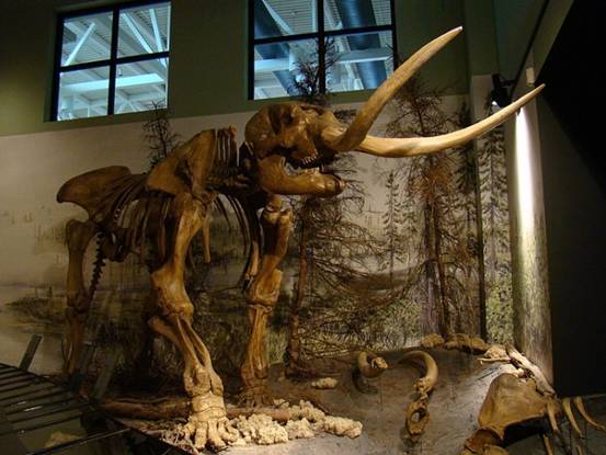 全球最大海潮在哪里,世界上最大的海潮