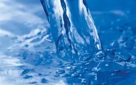 水培绿萝叶子发黄快速补救方法,水培绿萝怎么养才能更旺盛更绿