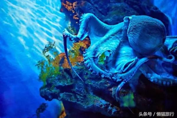 亲子游适合去泰国哪里,泰国普吉岛亲子游旅游攻略