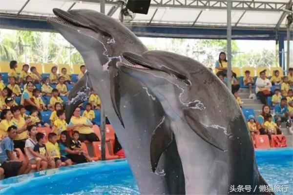 亲子游适合去泰国哪里,泰国普吉岛亲子游旅游攻略