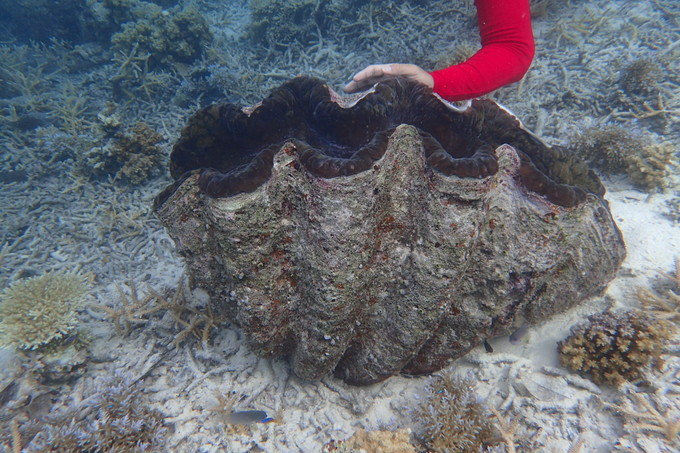 带着思念去旅行完整版,带着思念去海边