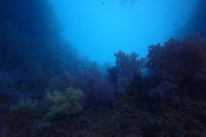 带着思念去旅行完整版,带着思念去海边