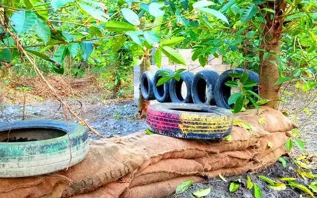 爱玩游戏的你,爱玩且会玩才是玩耍的最高境界