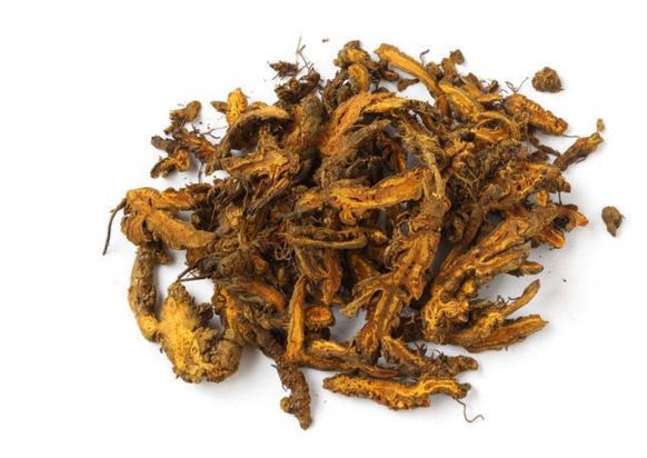 旱莲草的止血功效,旱莲草配什么中药止血效果好