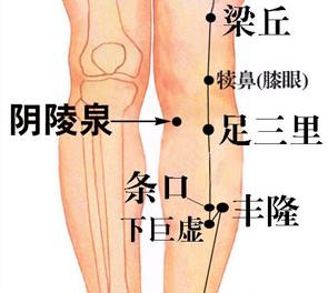 精索静脉曲张艾灸灸哪个穴位,静脉曲张可以艾灸足三里吗