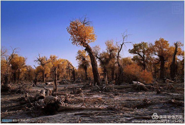 美丽*疆新**100张——美在雪山,美在草原,美在戈壁,美在心灵!