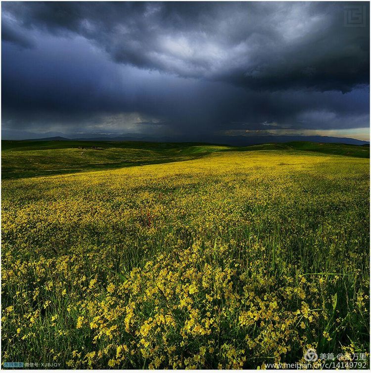 美丽*疆新**100张——美在雪山,美在草原,美在戈壁,美在心灵!