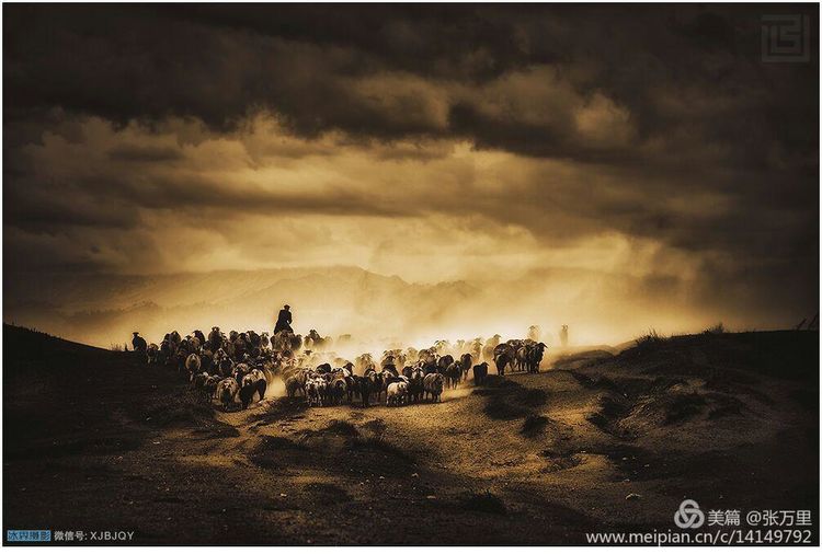 美丽*疆新**100张——美在雪山,美在草原,美在戈壁,美在心灵!