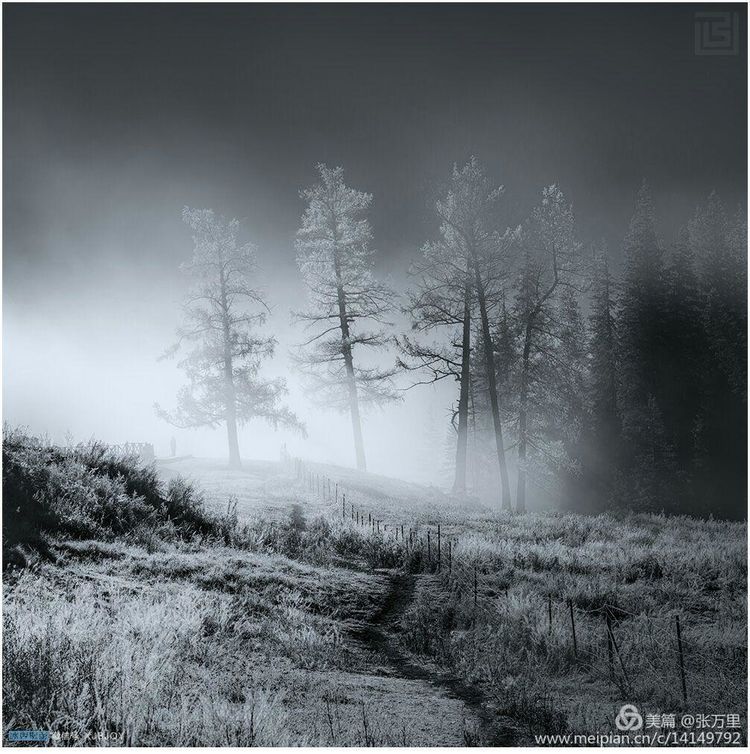 美丽*疆新**100张——美在雪山,美在草原,美在戈壁,美在心灵!