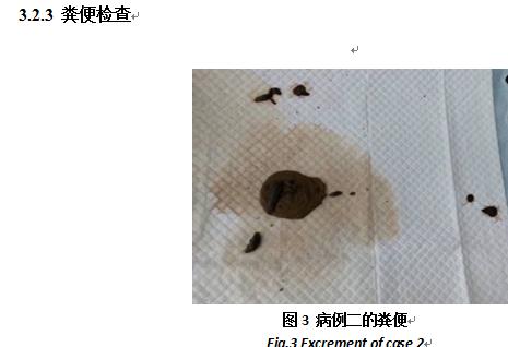 担心狗狗得狗瘟怎么办,狗狗得了犬瘟热怎么治