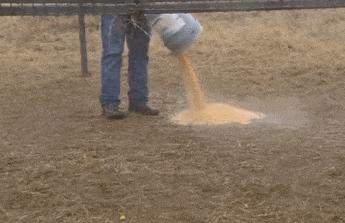 十则笑语（1）小撸怡情大撸伤身想他这样强撸的灰飞烟灭