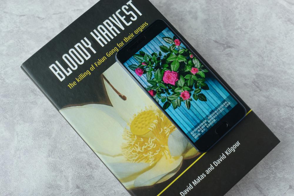 华为p10哪些颜色有钻雕工艺,华为p10plus有几种蓝色