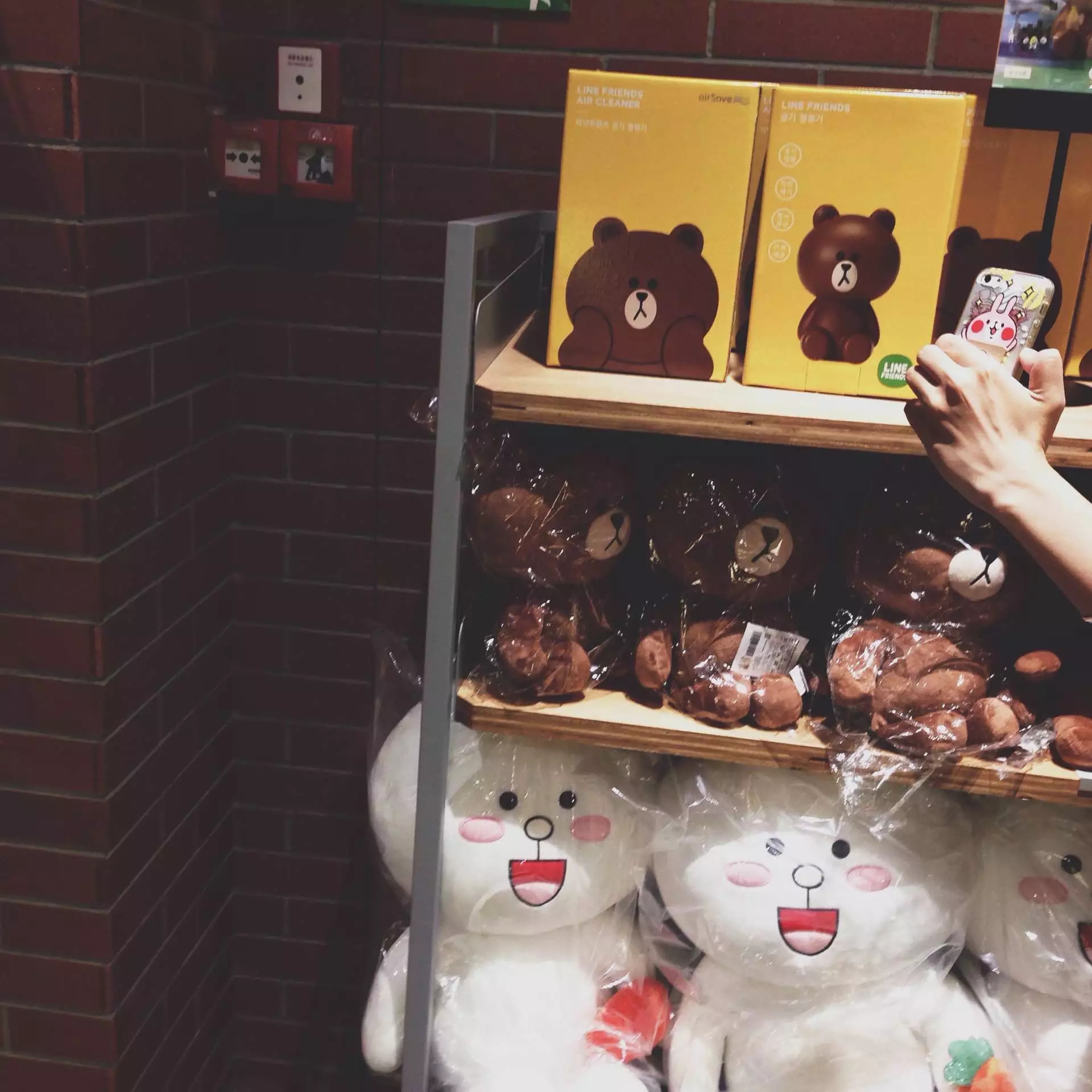 喜欢布朗熊可妮兔的你快看过来!