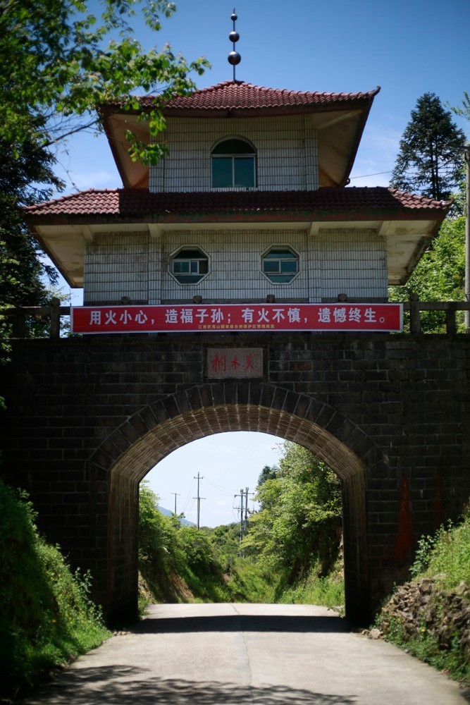 真正的金骏眉是什么样子的,金骏眉究竟什么样子的