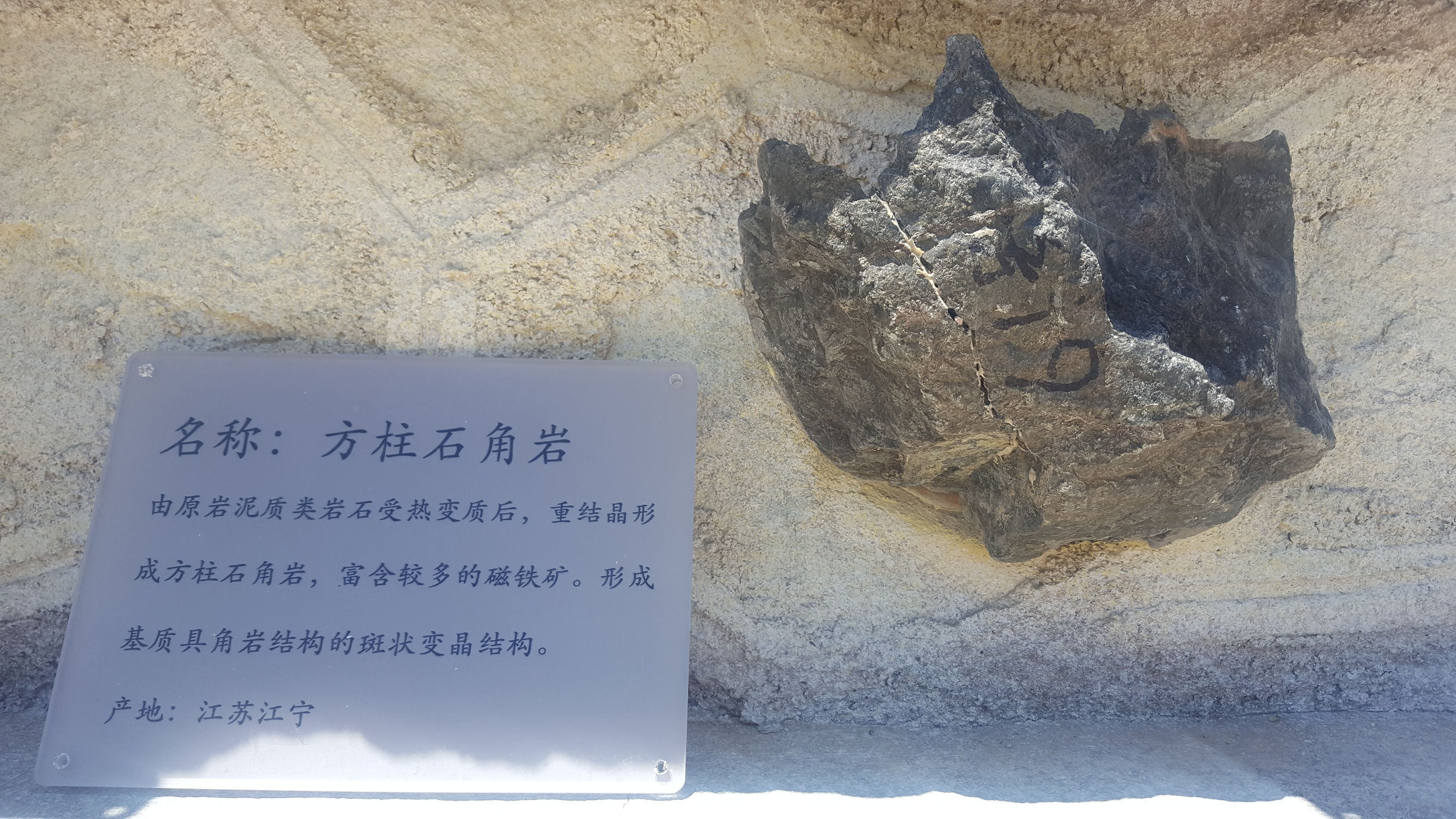 加强高等职业院校学生的技能培训,高等职业教育实训基地