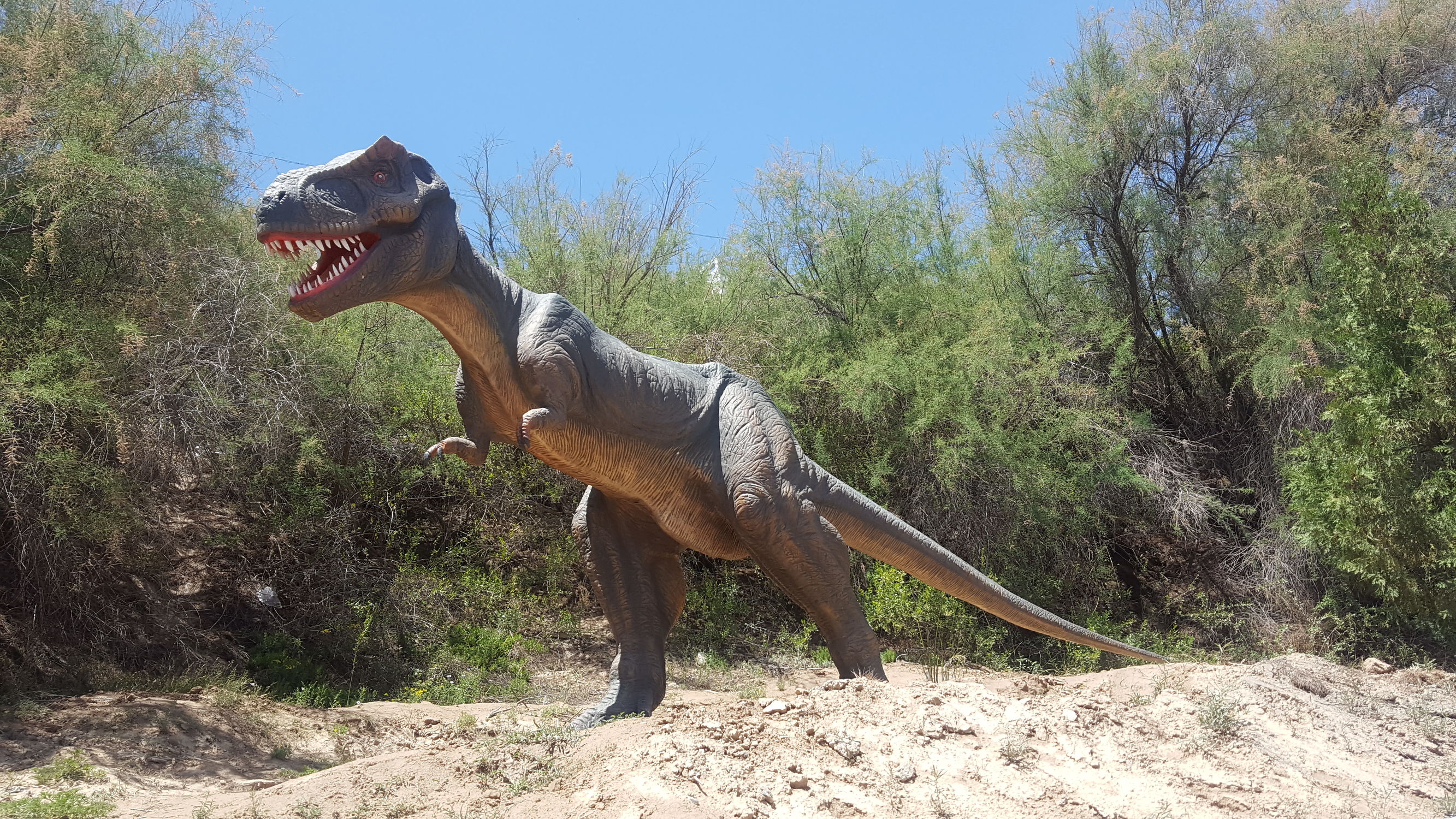 加强高等职业院校学生的技能培训,高等职业教育实训基地