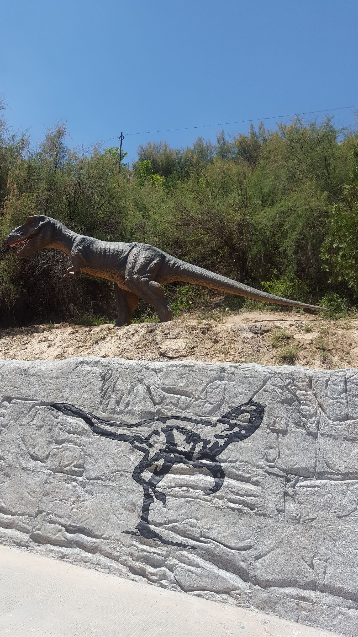 加强高等职业院校学生的技能培训,高等职业教育实训基地