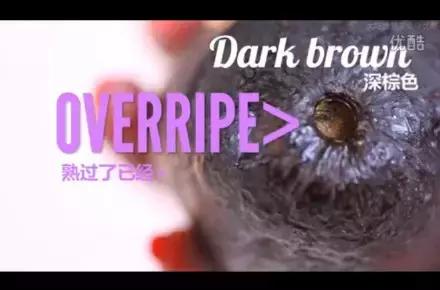 牛油果挑选什么样的最好吃,牛油果怎么挑选才是正确的