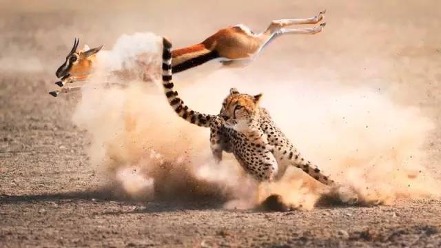 你我本无缘分全靠机缘巧合,你我之间本无缘分全靠我硬撑