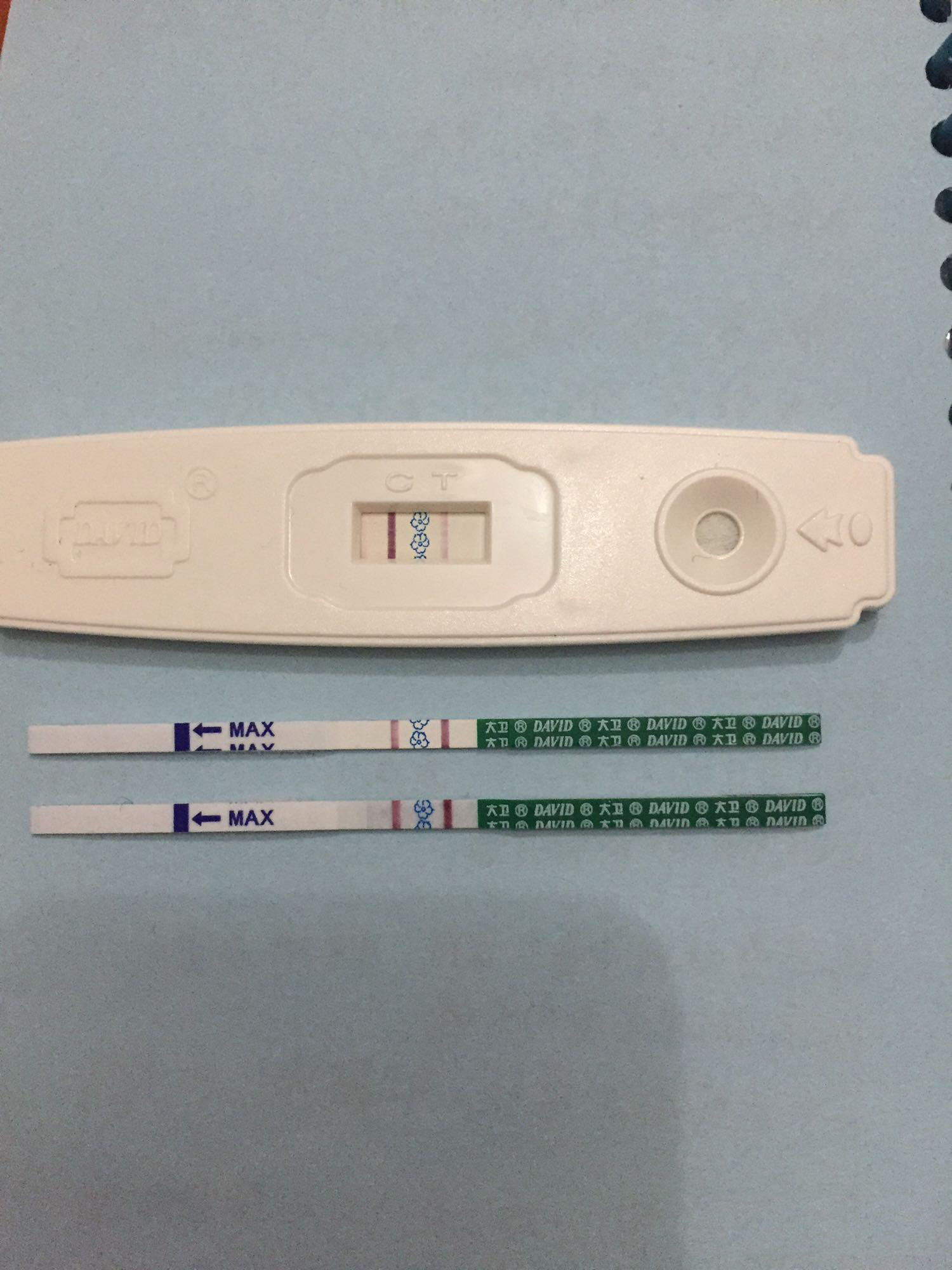 老公弱精畸形,虽说质量不高,可架不住数量多,三个月成功双杆啦