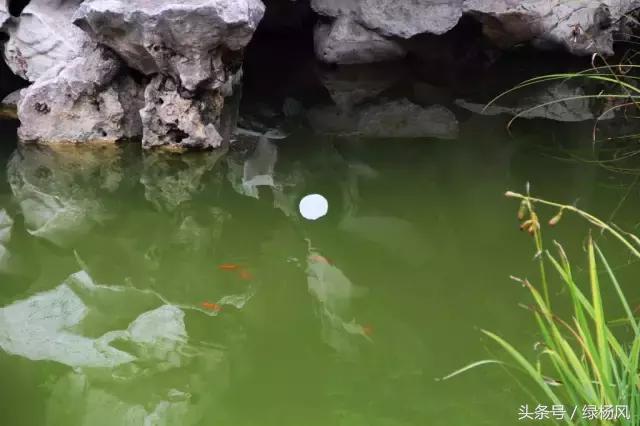 五一扬州瘦西湖风景区门票价格,2022年扬州瘦西湖门票多少钱