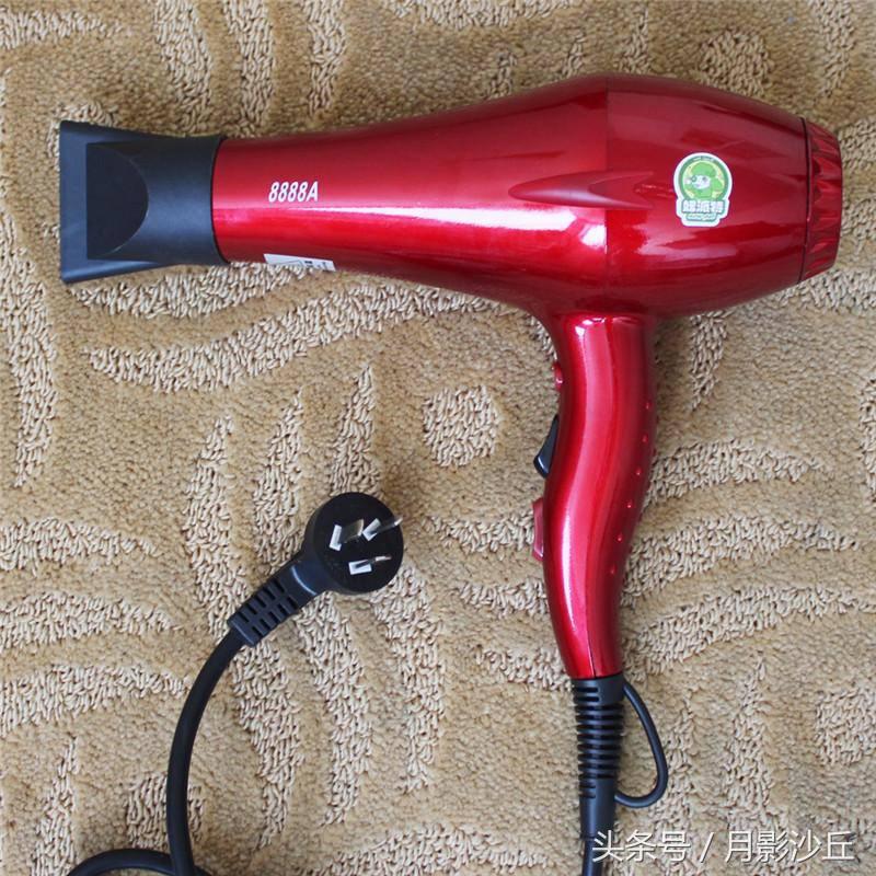 泰迪犬的用品都有哪些,新手养泰迪必买的用品