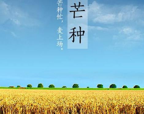 芒种节气养生哪个部位最好,芒种健脾食谱大全