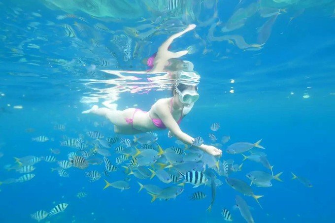 带着思念去旅行完整版,带着思念去海边