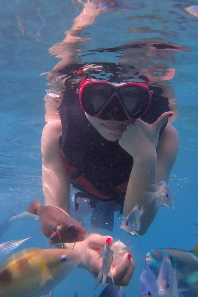 带着思念去旅行完整版,带着思念去海边