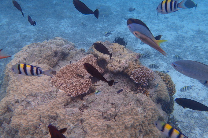 带着思念去旅行完整版,带着思念去海边