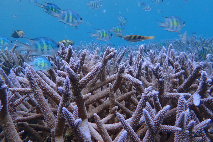 带着思念去旅行完整版,带着思念去海边