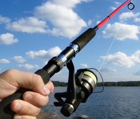 喜欢钓鱼没鱼竿怎么办,喜欢钓鱼但不会钓手把手教程视频