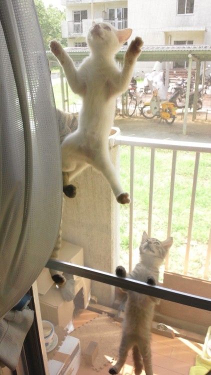 别烦我，没看见我正在认真数钱吗？