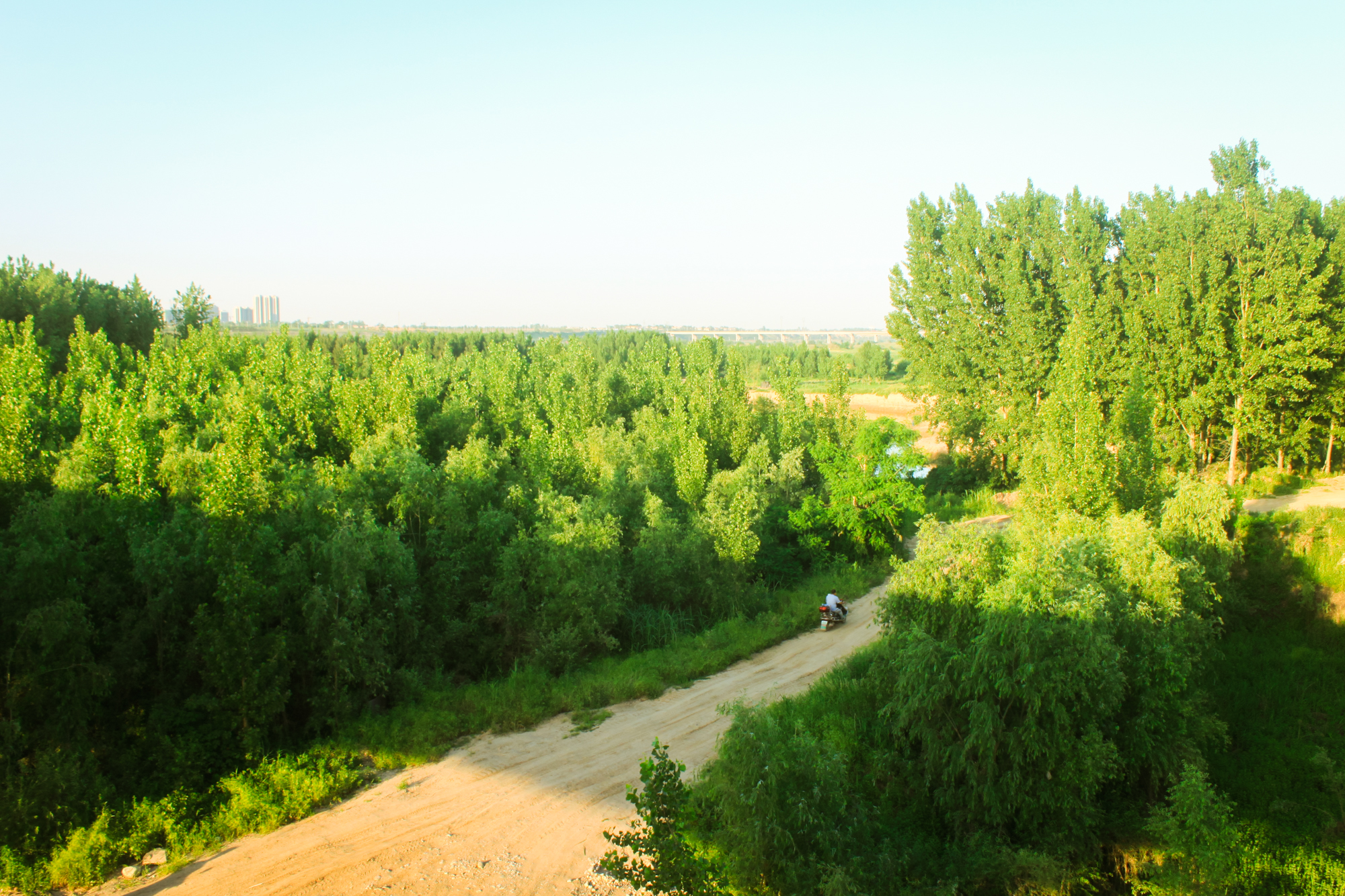 泾渭分明泾河为何清澈,泾河渭河泾渭分明是哪里