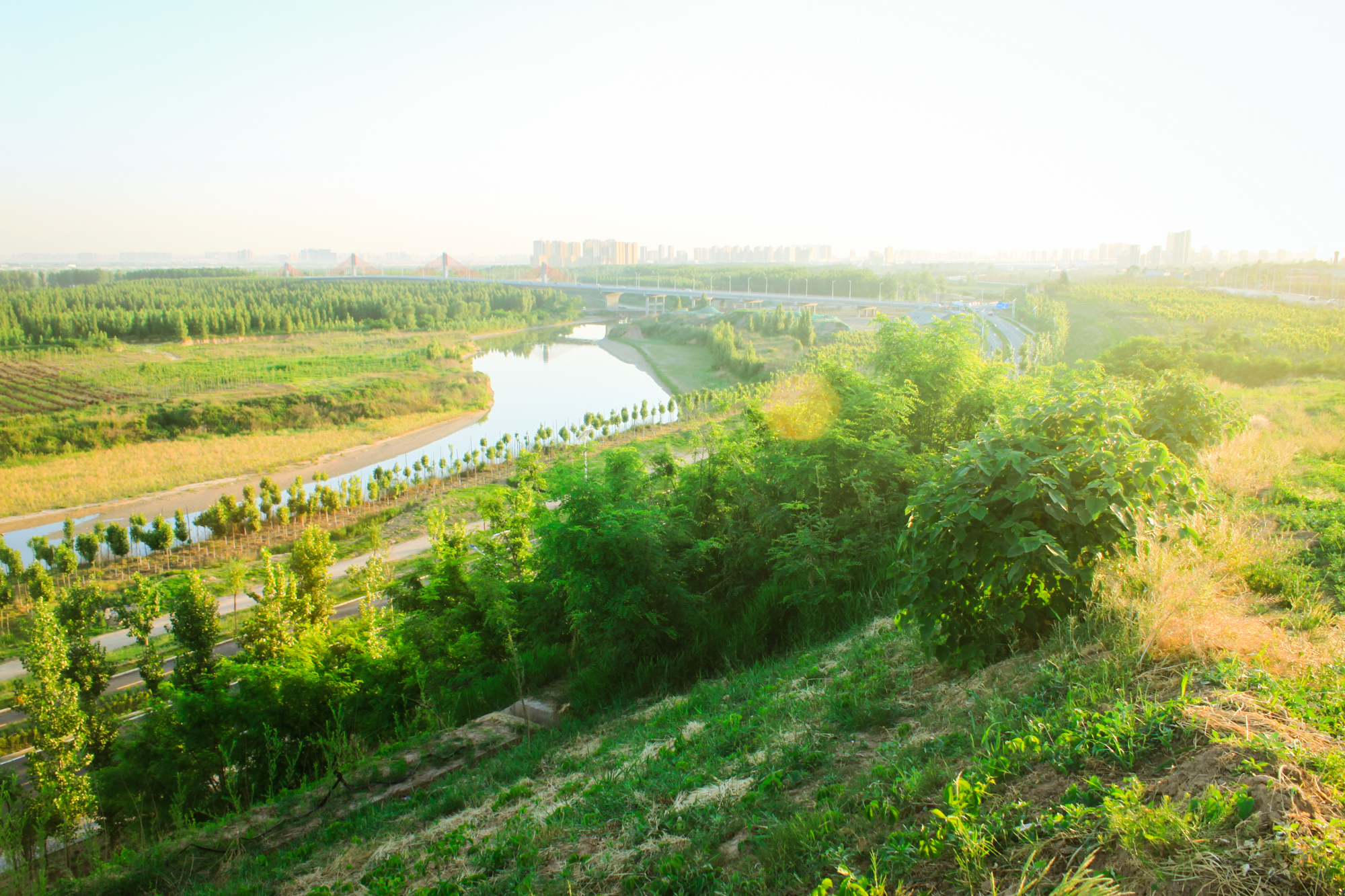 泾渭分明泾河为何清澈,泾河渭河泾渭分明是哪里