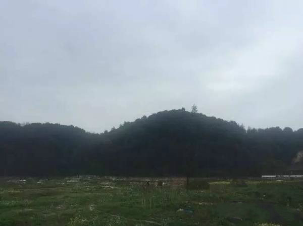 此人是蒋介石的先祖，人称地仙，近三百年来第一风水奇人