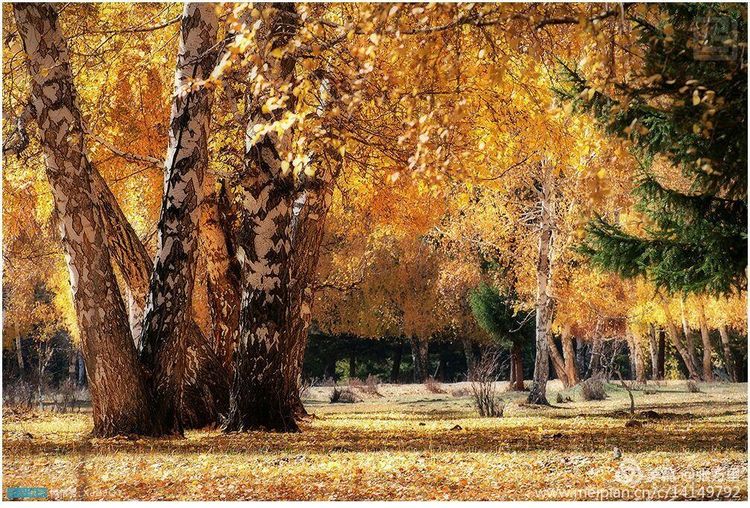 美丽*疆新**100张——美在雪山,美在草原,美在戈壁,美在心灵!