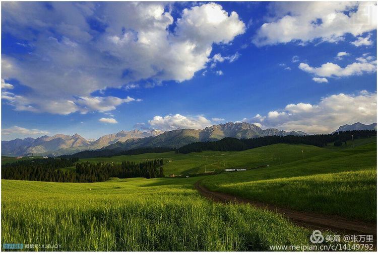 美丽*疆新**100张——美在雪山,美在草原,美在戈壁,美在心灵!