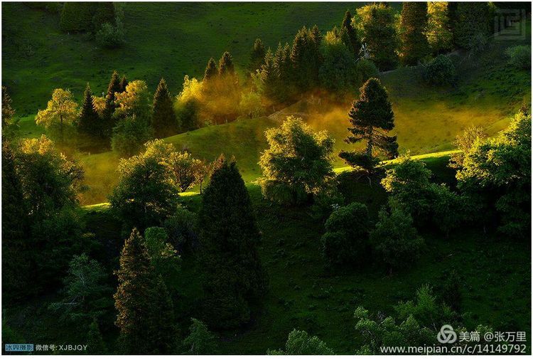 美丽*疆新**100张——美在雪山,美在草原,美在戈壁,美在心灵!