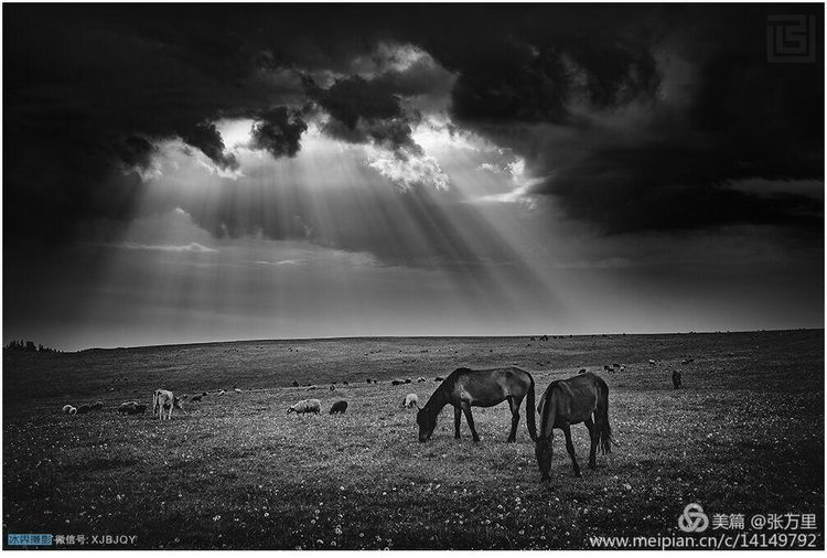 美丽*疆新**100张——美在雪山,美在草原,美在戈壁,美在心灵!