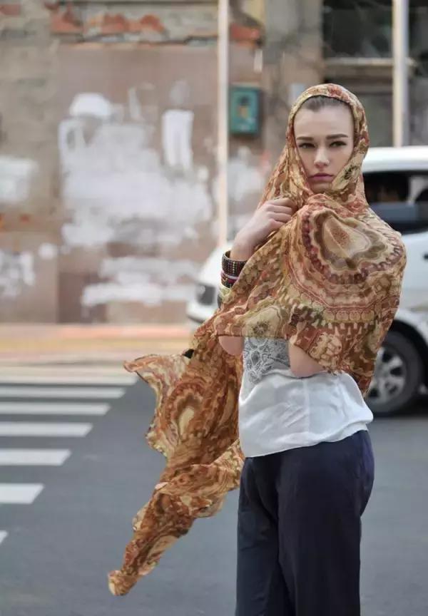 樊姐王柏川爱马仕 (梵克雅宝爱马仕)